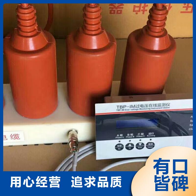 【羿振电气】过电压保护器TBP-A-42F/400W