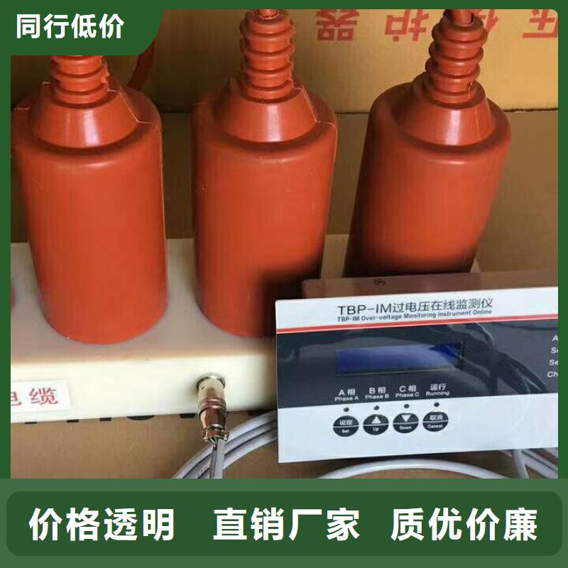 过电压保护器(组合式避雷器)BSTG-A-17/600