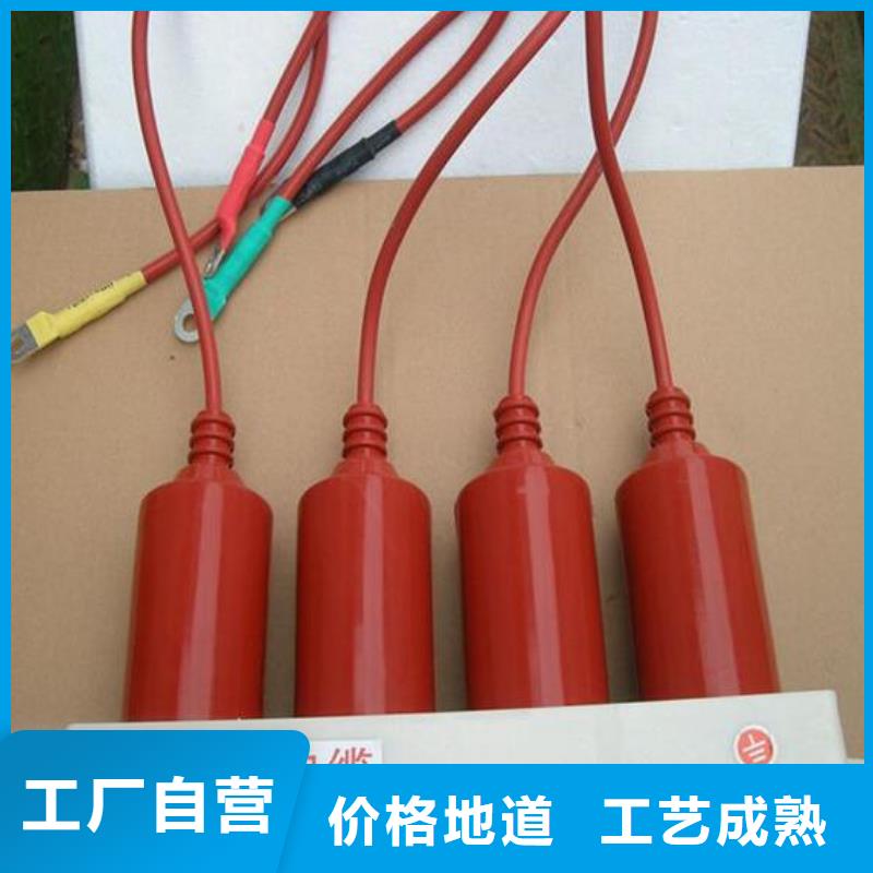 【羿振电力设备】过电压保护器(组合式避雷器)TBP-C-42/310