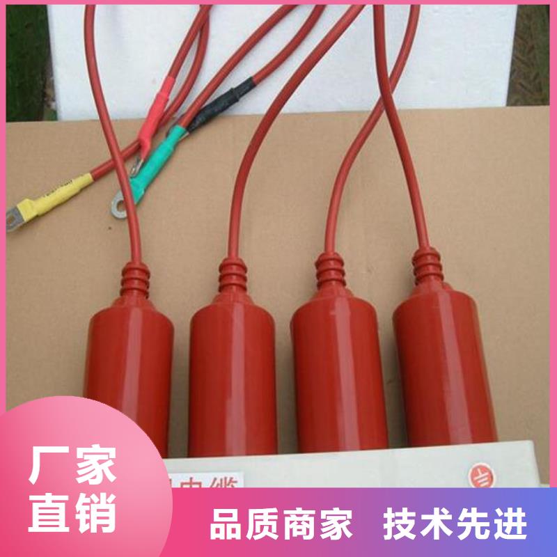 ＿〖过电压保护器〗TBP-B-10.5/85-J发货快