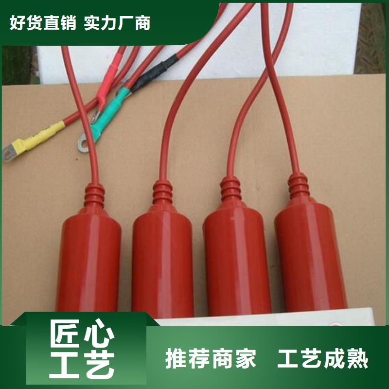 过电压保护器(组合式避雷器)TBP-B-42/400W1