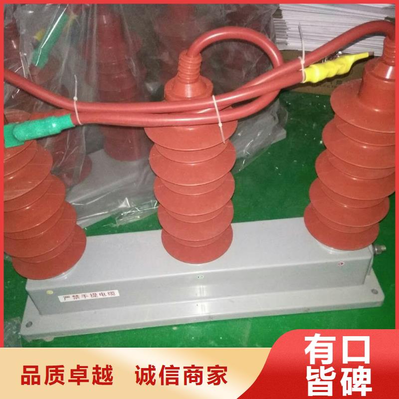 保护器(组合式避雷器)TBP-A-35/310