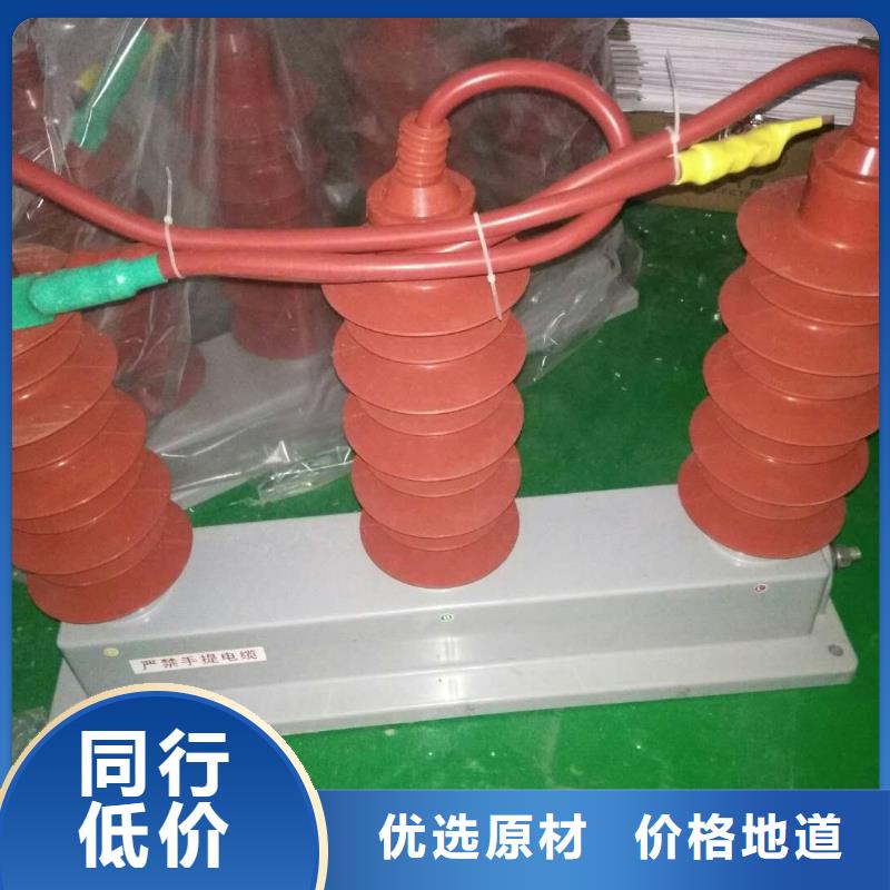 过电压保护器(组合式避雷器)HY5WR-51/150*51/134