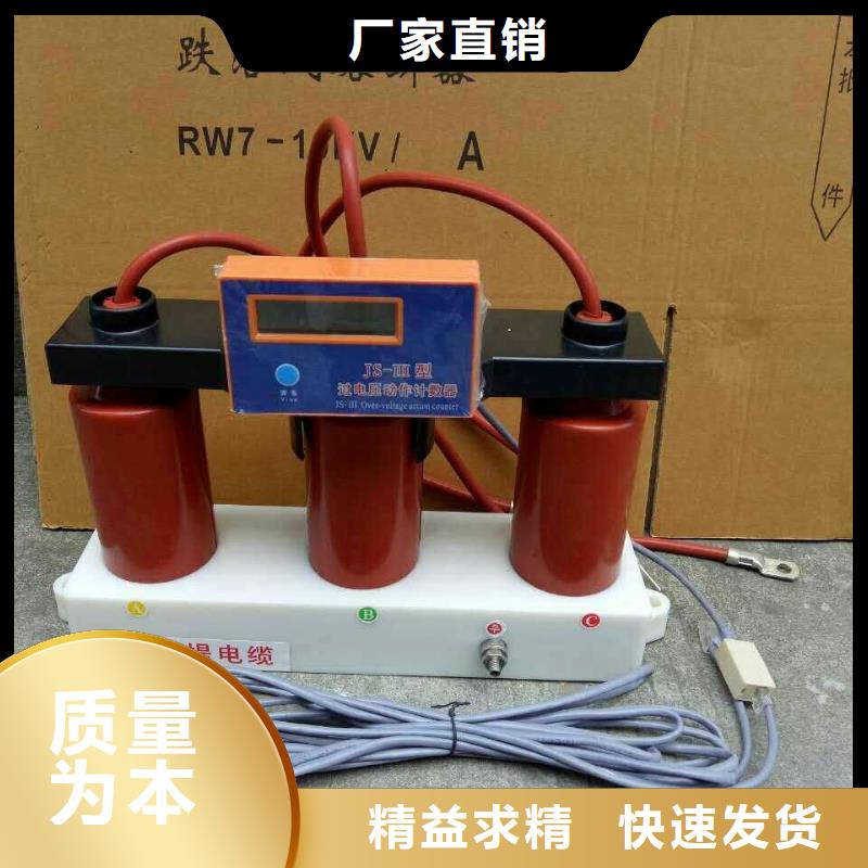 保护器(组合式避雷器)TBP-C-12.7F/150