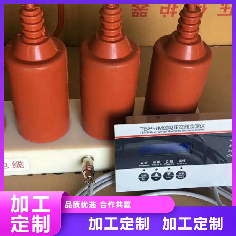 TBP-A-42F/400W【过电压保护器】