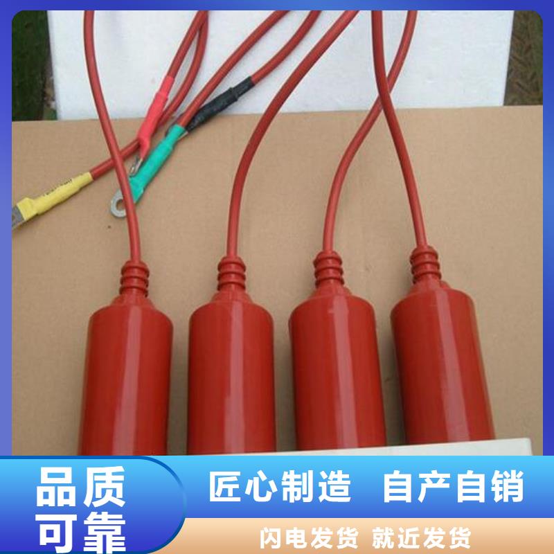 过电压保护器(组合式避雷器)TBP-B-42F/280-IM