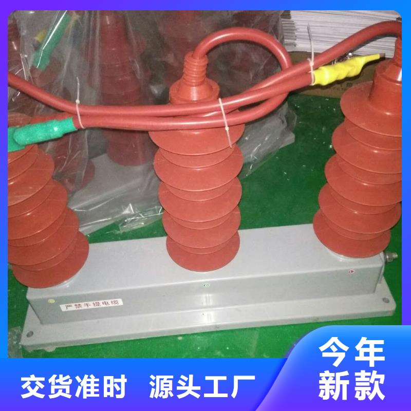 保护器(组合式避雷器)TBF-B-42F/630W2
