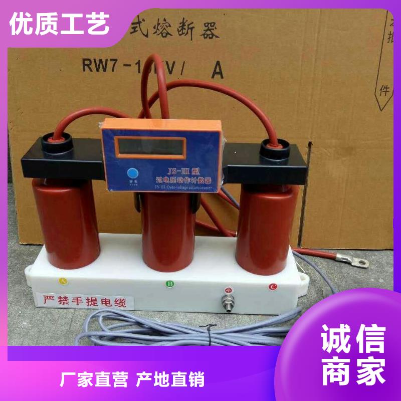 【组合式避雷器/过电压保护器】TBP-O-4.6F