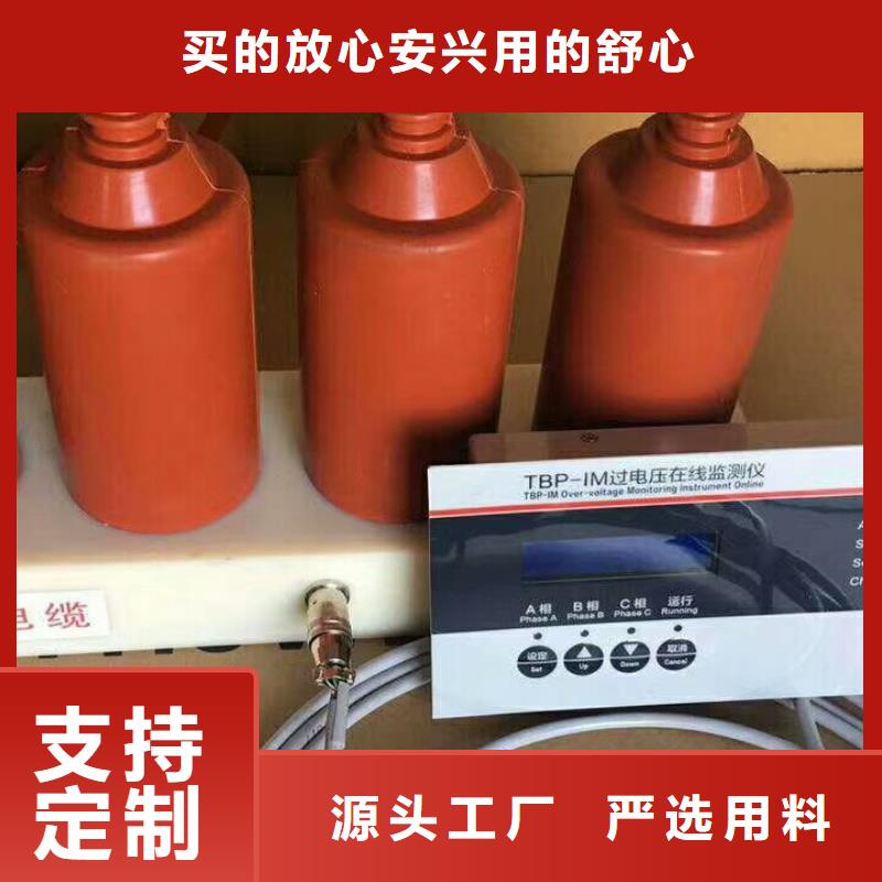 保护器(组合式避雷器)TBP-A-35/310