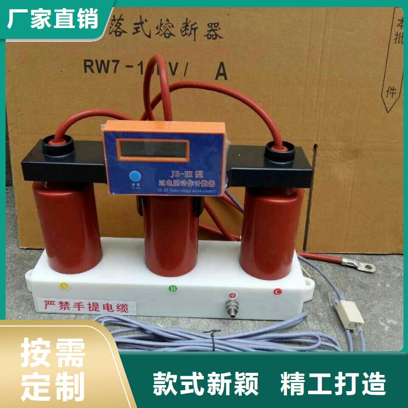 过电压保护器(组合式避雷器)YH5WZ-5/13.5*2