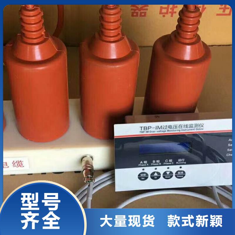 过电压保护器(组合式避雷器)BSTG-A-17-J