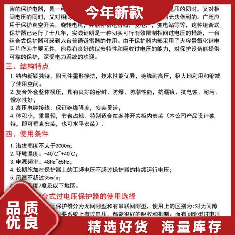 保护器(组合式避雷器)RSB-B/F-6.3
