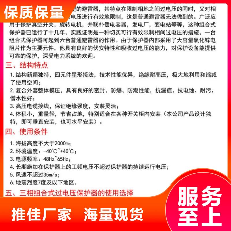 过电压保护器(组合式避雷器)YH5WZ-5/13.5*2