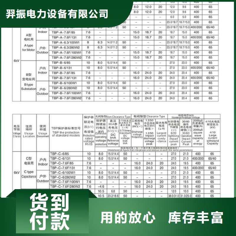 过电压保护器(组合式避雷器)TBP-B-7.6F/131