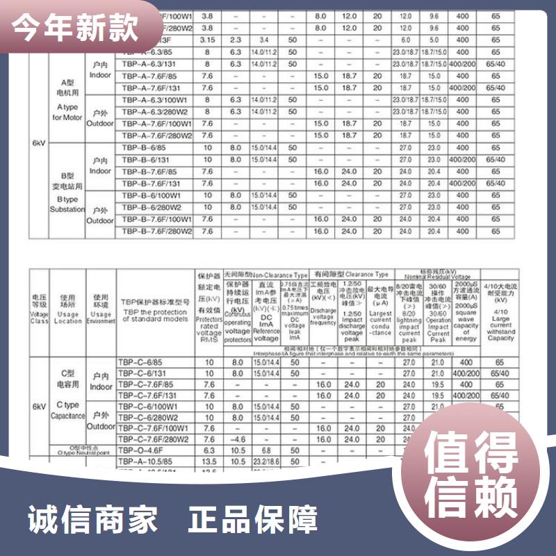 羿振电气牌：TBP-B-42/280-过电压保护器避雷器生产厂家