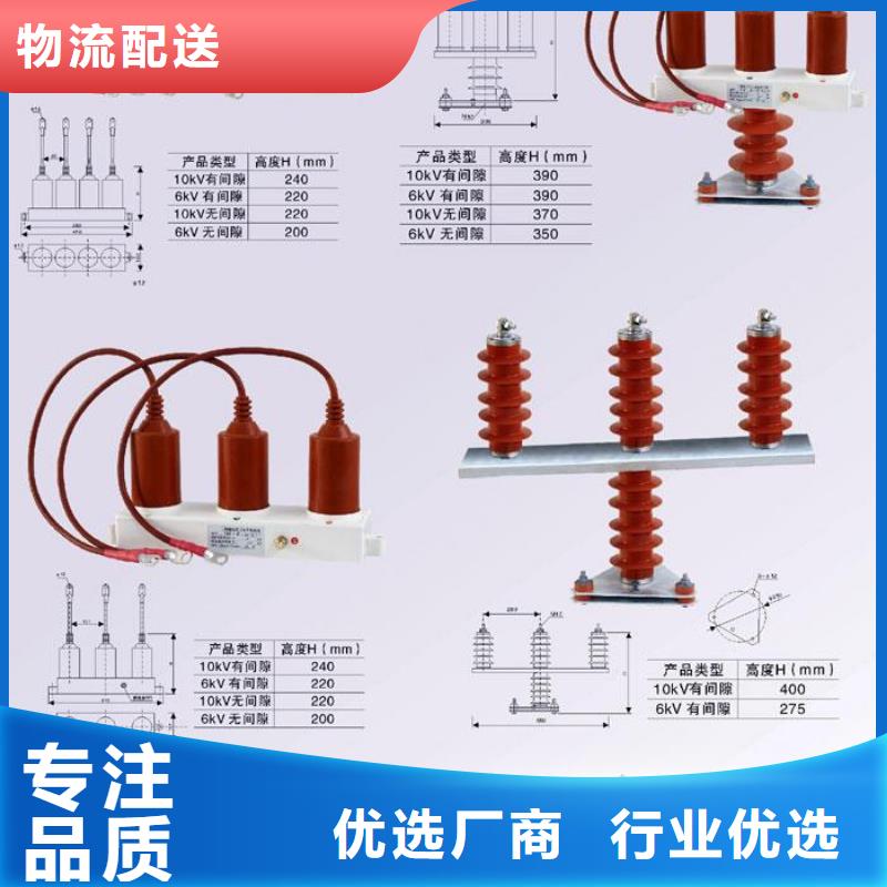 【羿振电气】过电压保护器(组合式避雷器)TBP-C-6.3/85-J