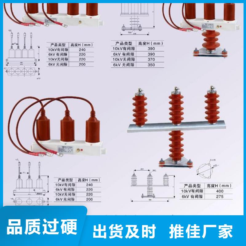 【羿振电力设备】过电压保护器(组合式避雷器)TBP-C-42/310