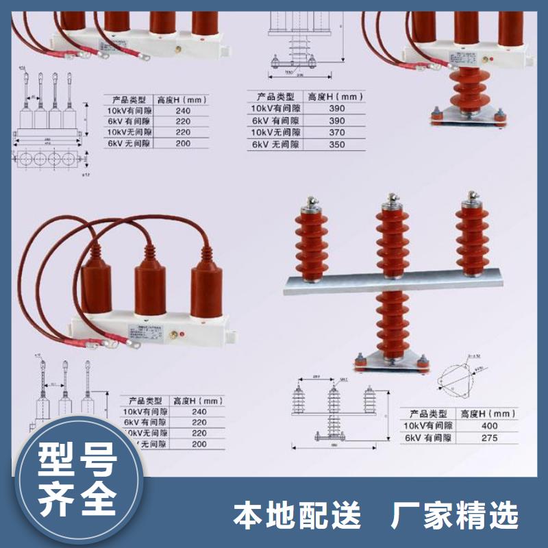 保护器(组合式避雷器)TBP-C-42F/310