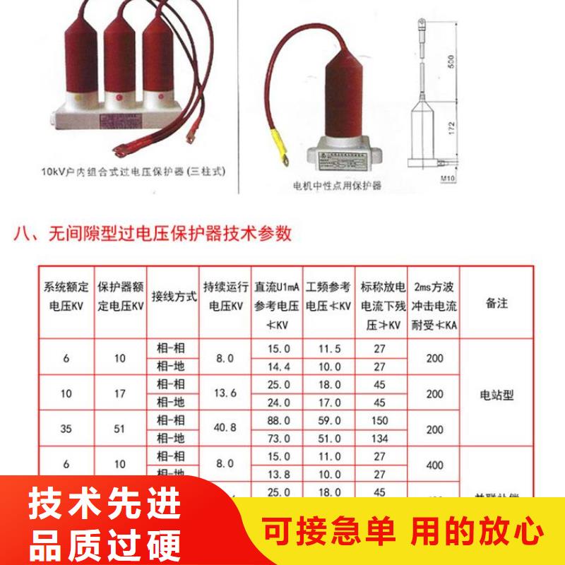 过电压保护器(组合式避雷器)YH5WZ-5/13.5*2