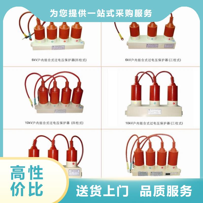 过电压保护器(组合式避雷器)YH2.5WD-13.5/38.7*13.5/31.0