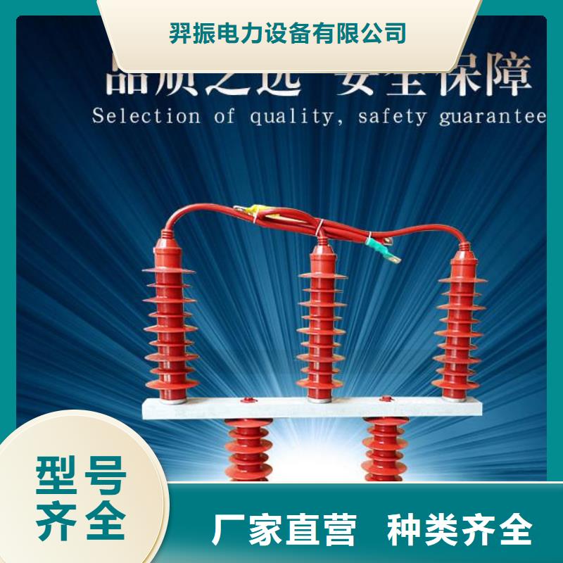 TBP-A-42F/400W【过电压保护器】