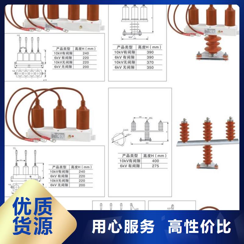 【羿振电气】过电压保护器BSTG-B-6.3-J