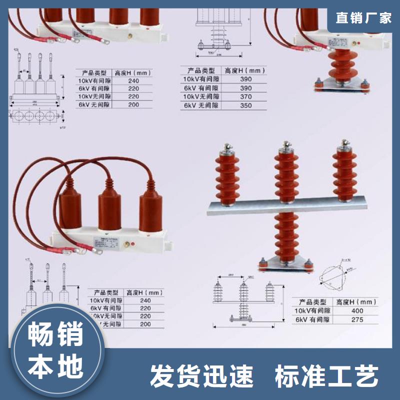 【避雷器】TBP-C-10.5/131-J