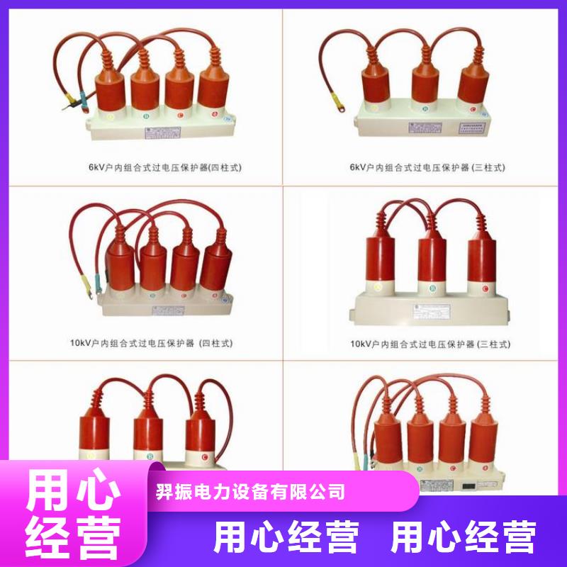 过电压保护器(组合式避雷器)TBP-C-7.6F/150
