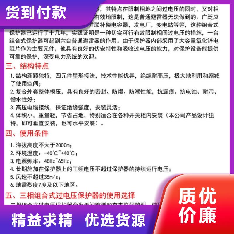 【组合式避雷器/过电压保护器】TBP-C-6.3/131