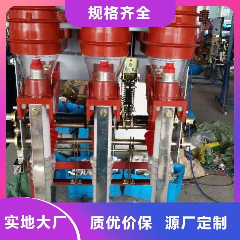 户内高压负荷开关FN5-12RD源头好货