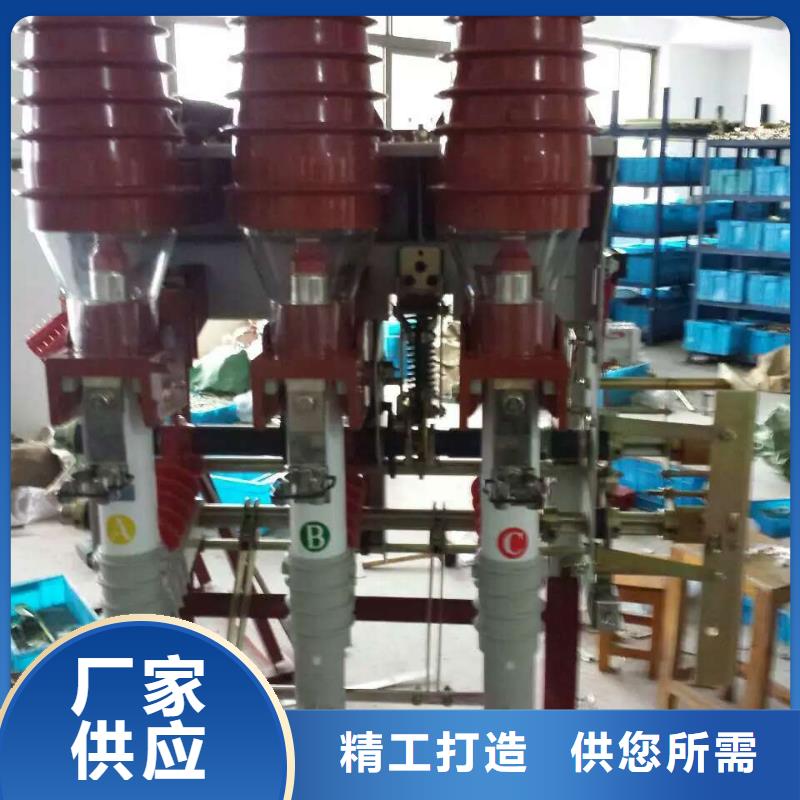 高压负荷开关ZFN16A-10/630-D-上海羿振电力设备有限公司
