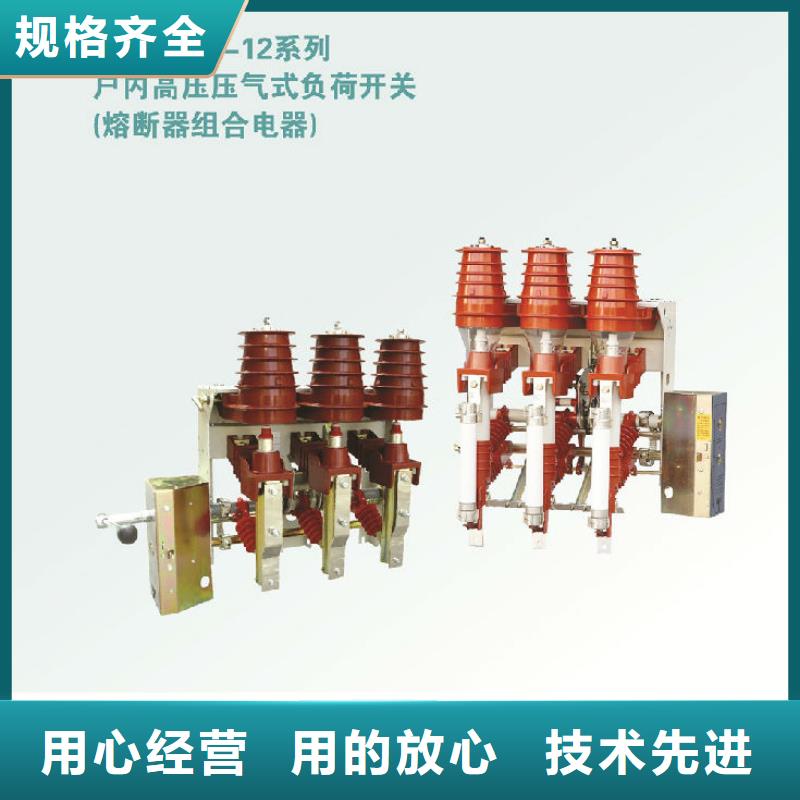 压气式负荷开关(熔断器组合电器)FZN12-12RD/125-31.5_