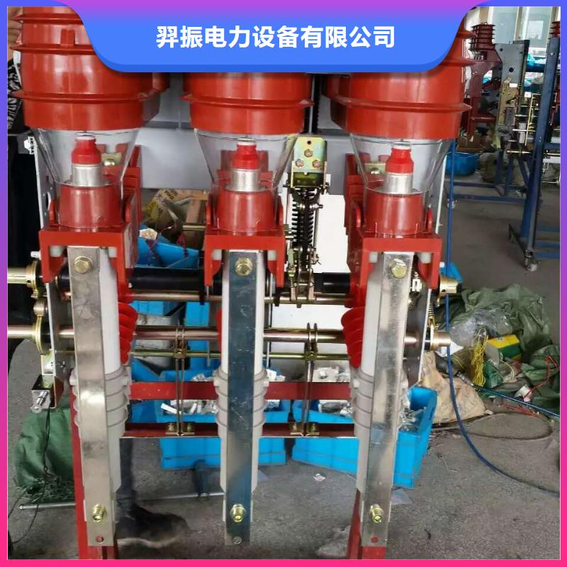 【羿振电气】FZRN25A-12D/T200高压负荷开关