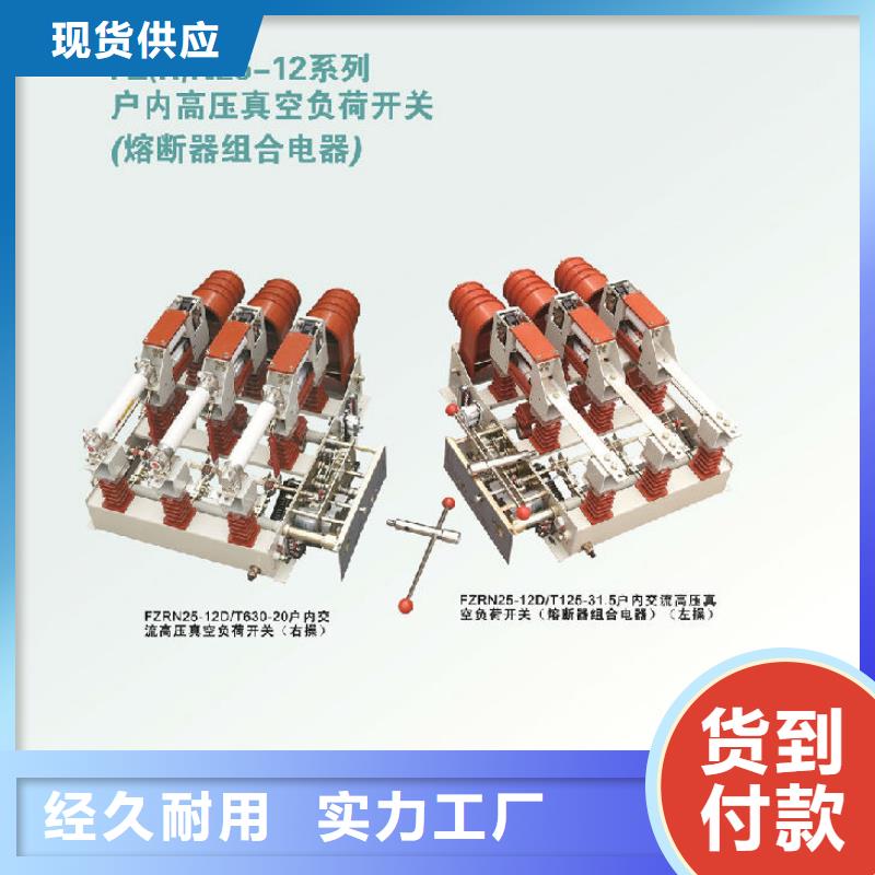 【羿振电气】户内高压负荷开关FN12-12RD/125-31.5