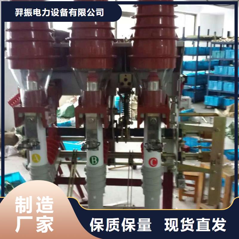 【羿振电气】户内高压负荷开关FN12-12RD/125-31.5