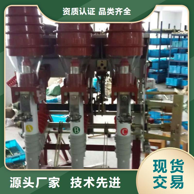 FZN25-12RD/T630-20正装左操,手合电分,带接地_