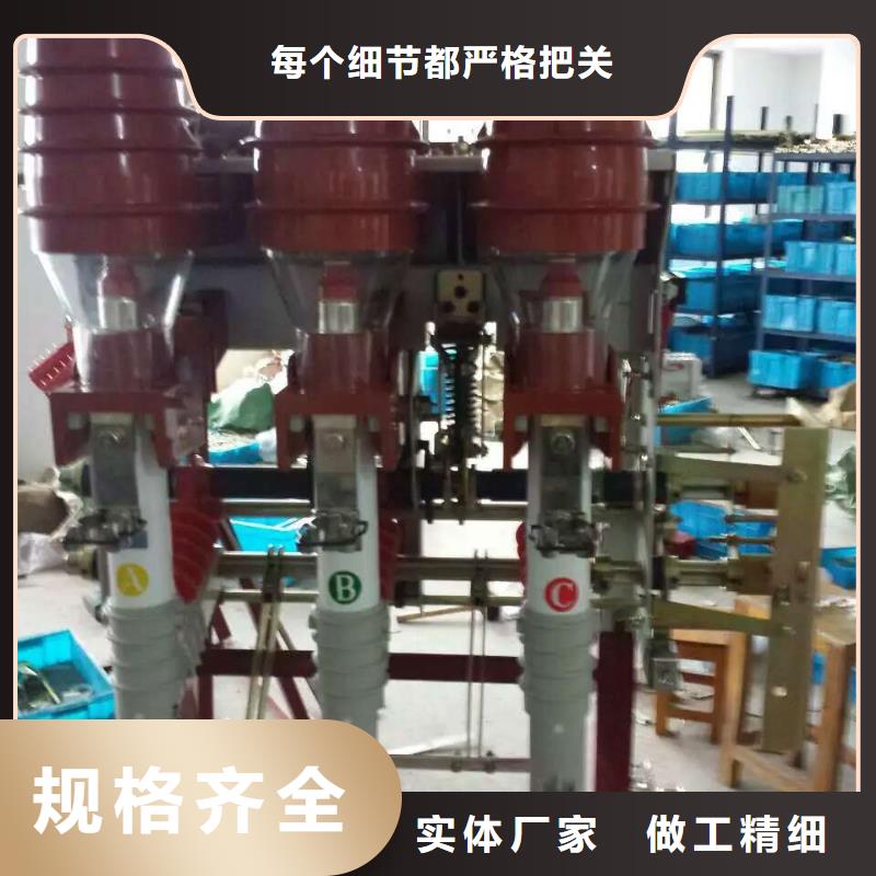 高压负荷开关ZFN16A-10/630-D-上海羿振电力设备有限公司