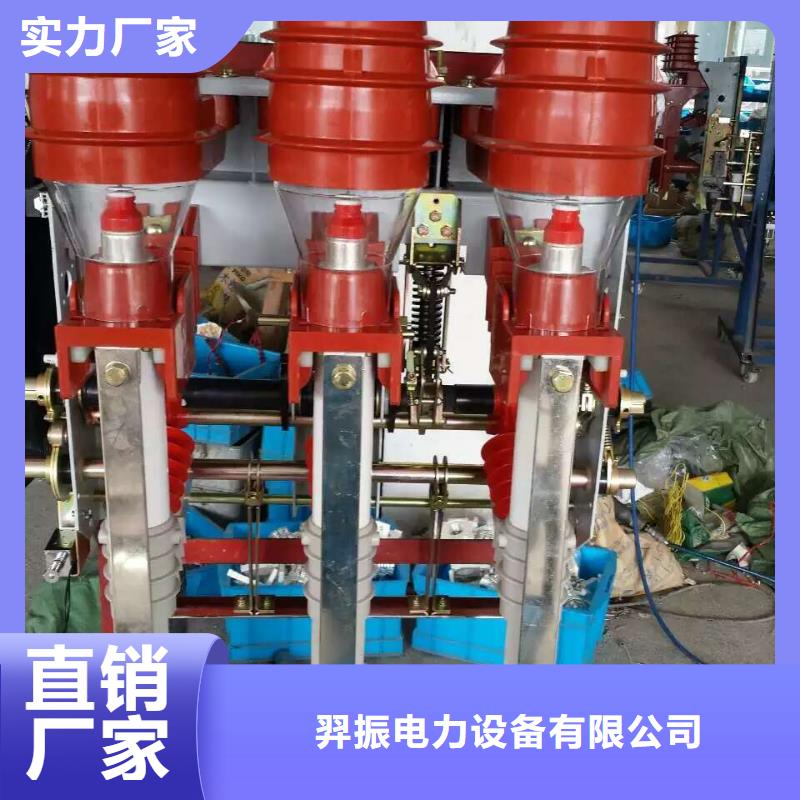 压气式负荷开关(熔断器组合电器)FKN12-12D/630-20