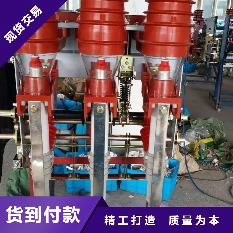 户内高压负荷开关FN3-10R/630_