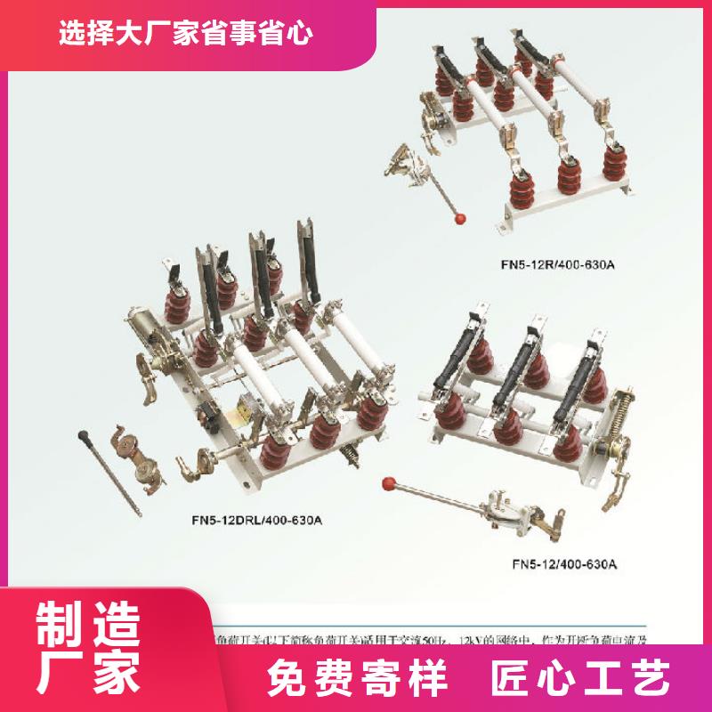 压气式负荷开关(熔断器组合电器)FN12-10/630-20-浙江羿振电气有限公司