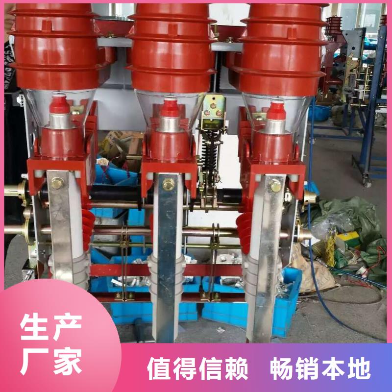 【羿振电力设备】高压负荷开关FZN40-10D/T125-31.5