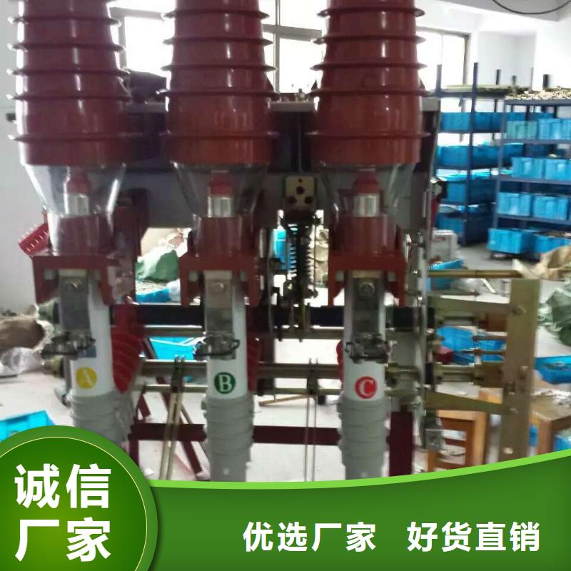 户内高压负荷开关FN5-12RD源头好货