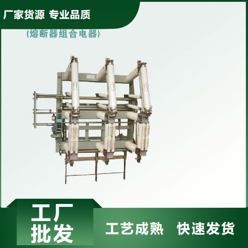 户内高压负荷开关FN5-12RD源头好货