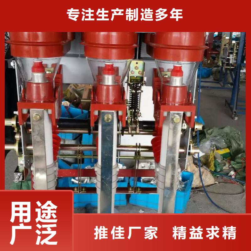 【羿振电气】户内高压负荷开关FN12-12RD/125-31.5
