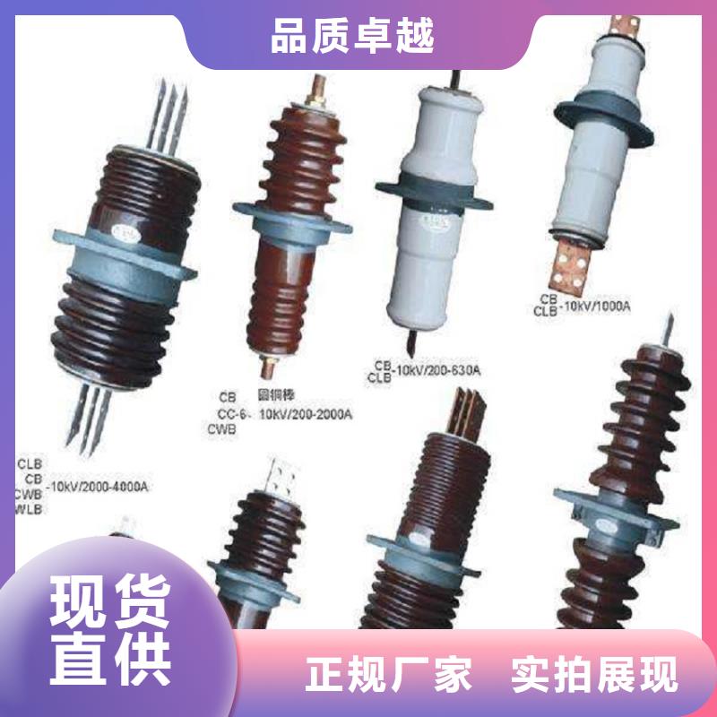 〖高压穿墙套管〗CWWL-10/630A-4源头厂家