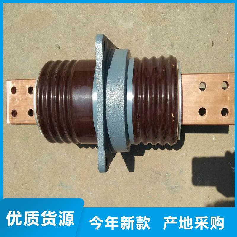 〖高压穿墙套管〗CWLB-20KV/1000A欢迎来电