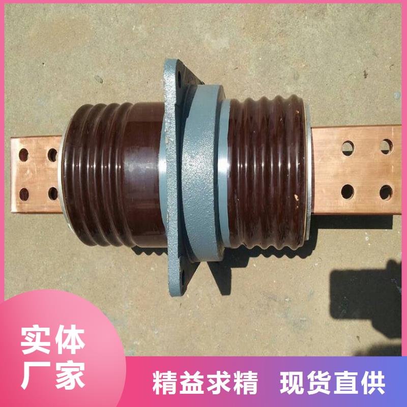 穿墙套管CWB-40.5KV/4000