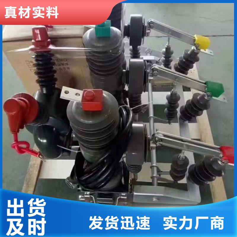 【断路器】柱上断路器ZW32-12D