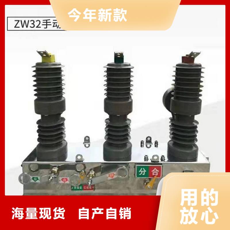 【断路器】真空断路器ZW32-12GF/T630-20