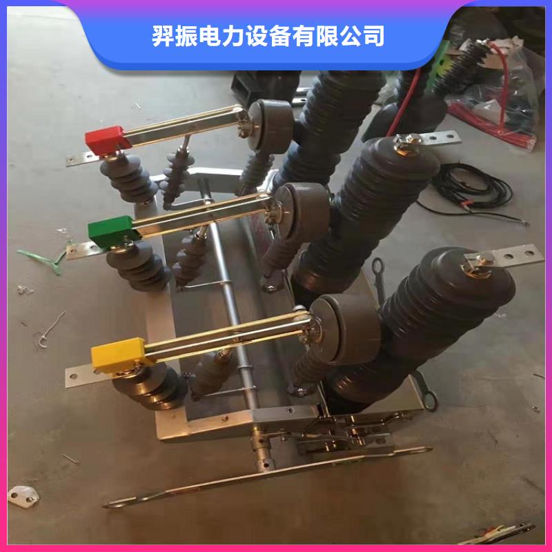 永磁真空断路器ZW32-12/M放心购买
